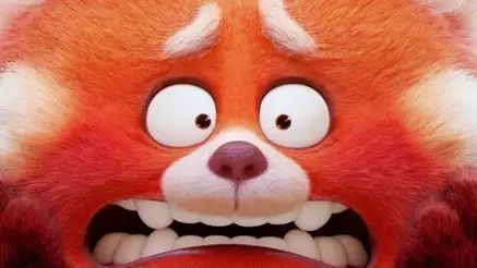 Fondos de Red