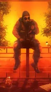 Naranjas